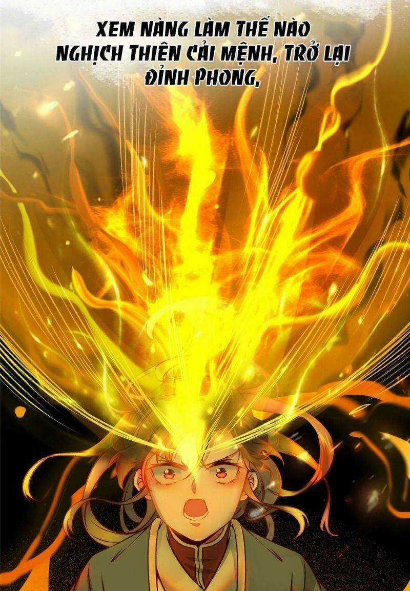 Nghịch Thiên Thần Phi Chí Thượng Chapter 1 trang 19