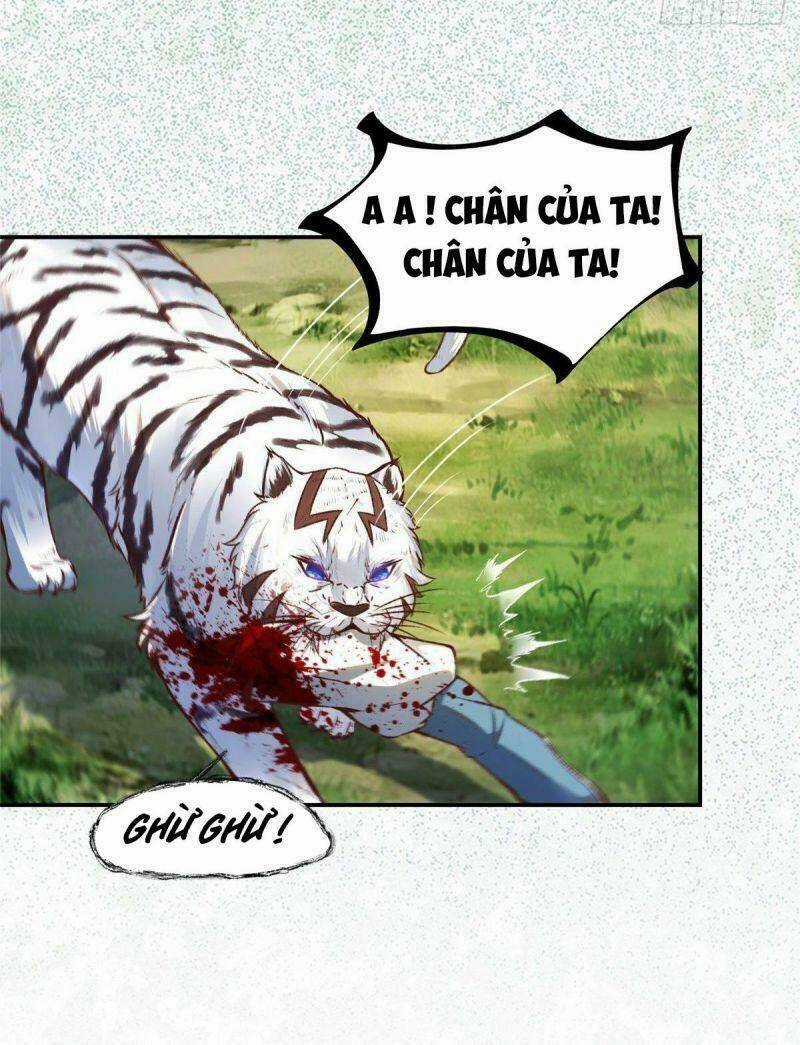 Nghịch Thiên Thần Phi Chí Thượng Chapter 4 trang 4