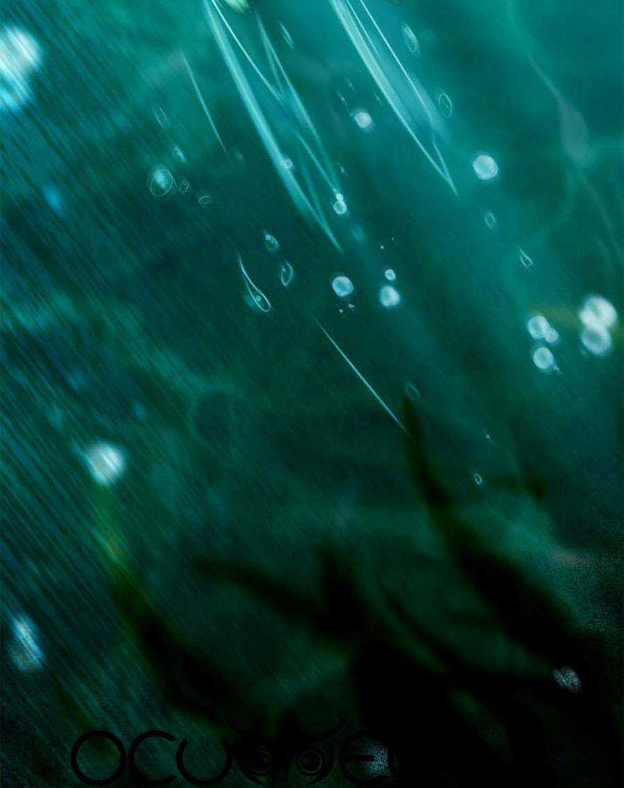 Nghịch Thiên Thần Phi Chí Thượng Chapter 51 trang 16