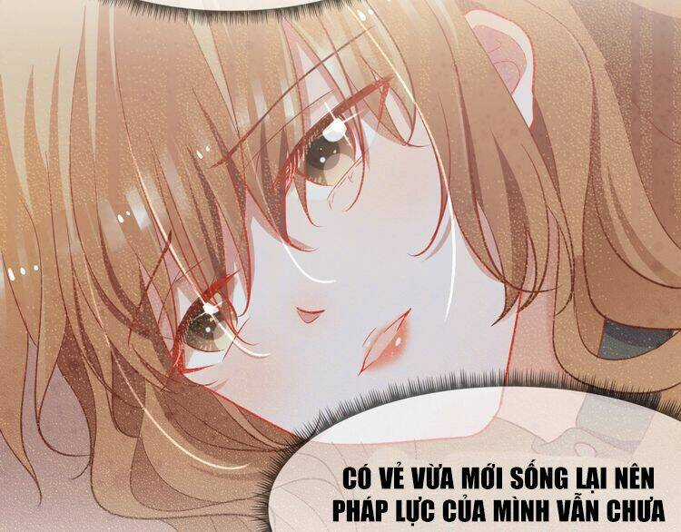 Nghiêm Tuyển Tiên Thê Chapter 23 trang 38