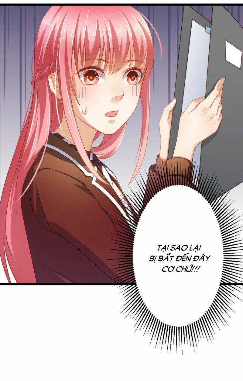 Nghìn Lẻ Một Đêm Với Tổng Tài Chapter 19 trang 6