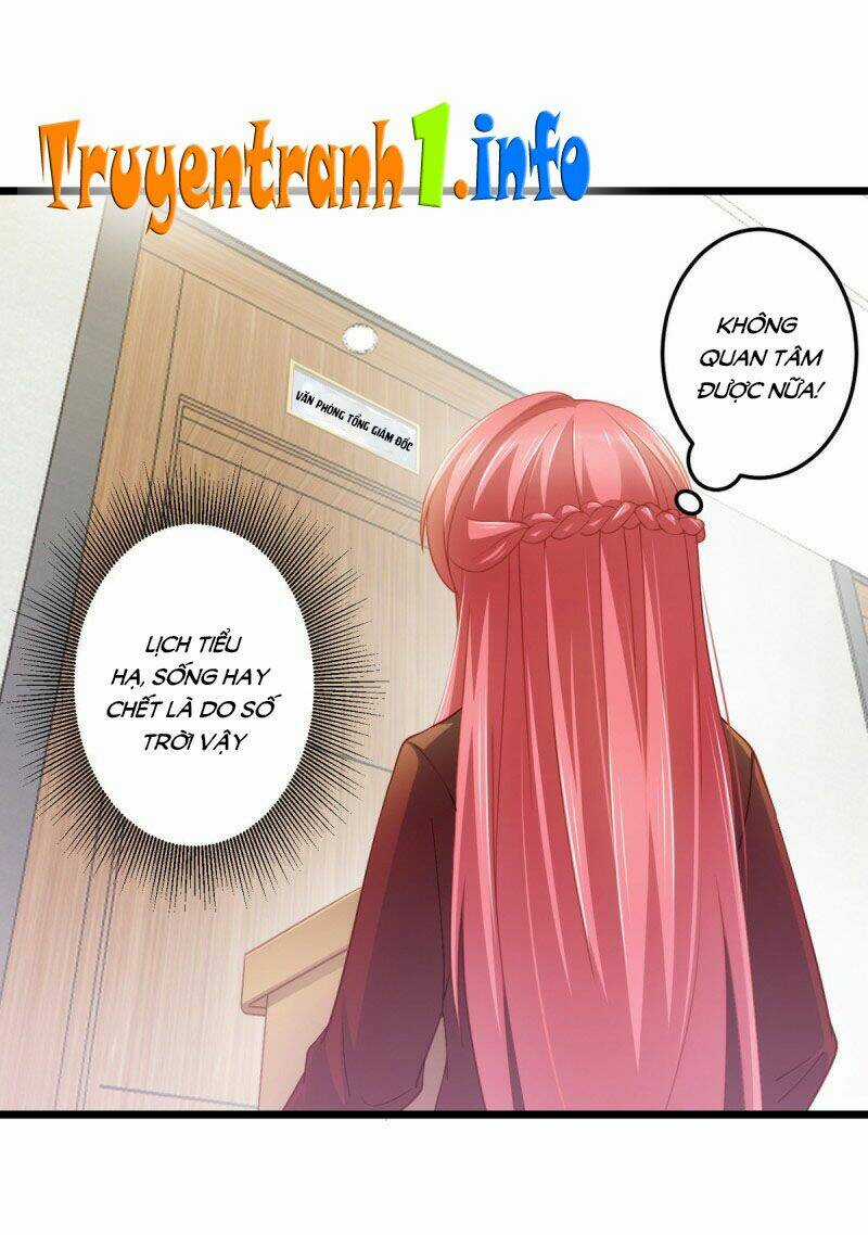 Nghìn Lẻ Một Đêm Với Tổng Tài Chapter 22 trang 23