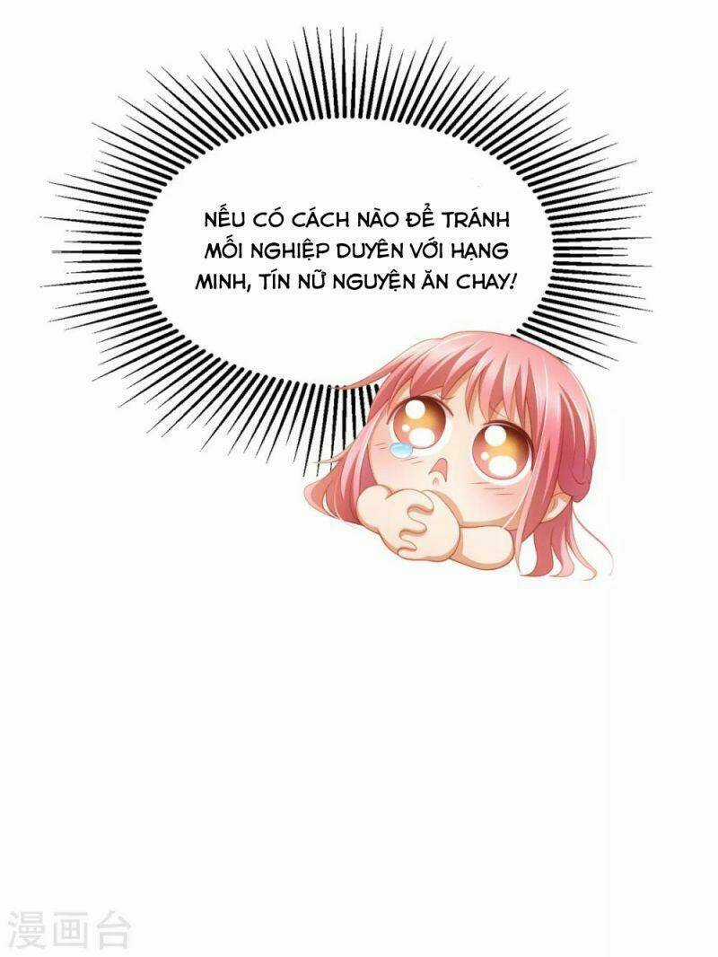 Nghìn Lẻ Một Đêm Với Tổng Tài Chapter 32 trang 5