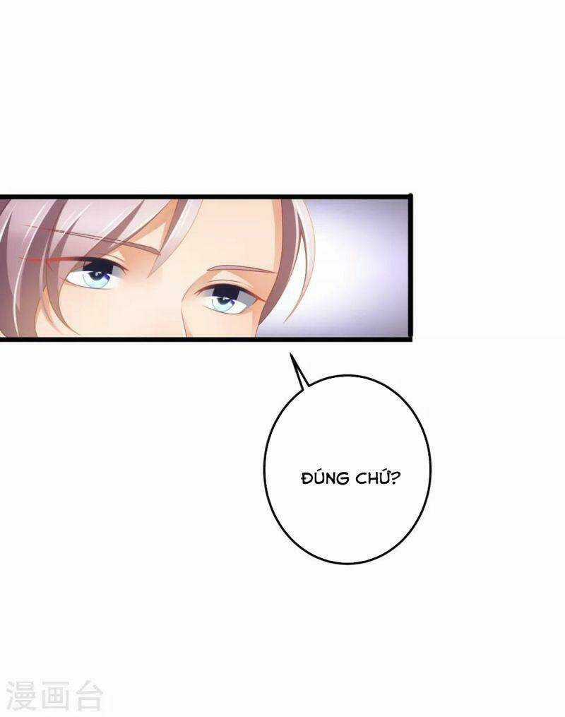 Nghìn Lẻ Một Đêm Với Tổng Tài Chapter 33 trang 5