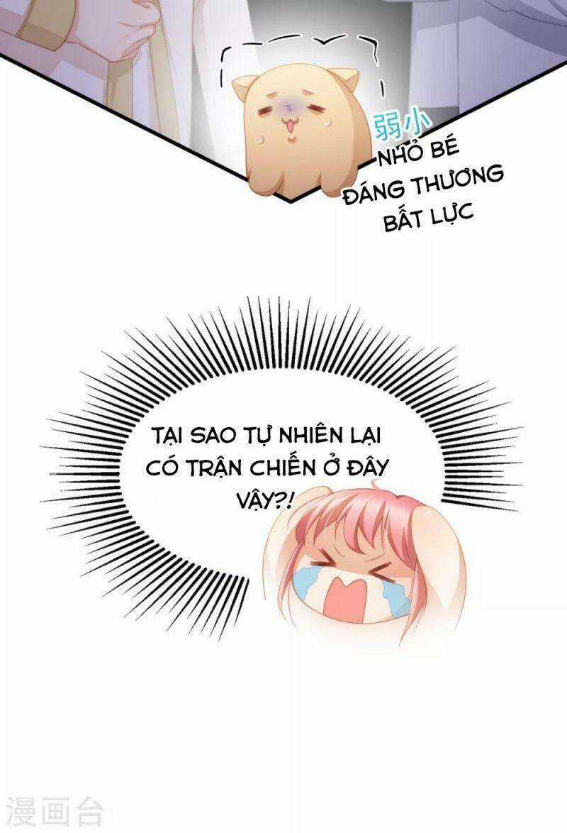 Nghìn Lẻ Một Đêm Với Tổng Tài Chapter 34 trang 15