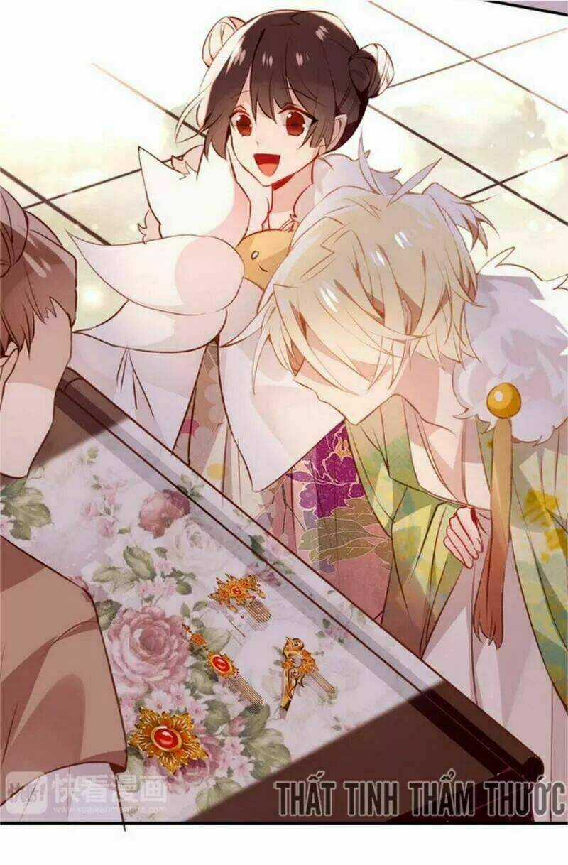 Ngô Hoàng Tại Thượng Chapter 22 trang 11