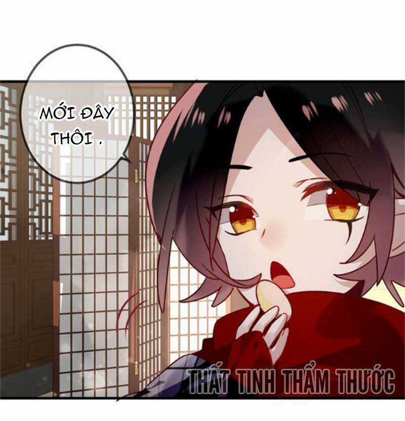 Ngô Hoàng Tại Thượng Chapter 26 trang 30