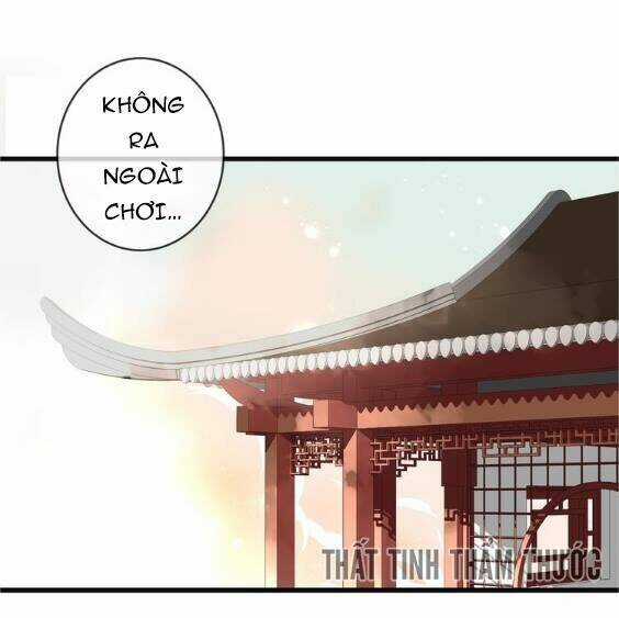 Ngô Hoàng Tại Thượng Chapter 28 trang 31