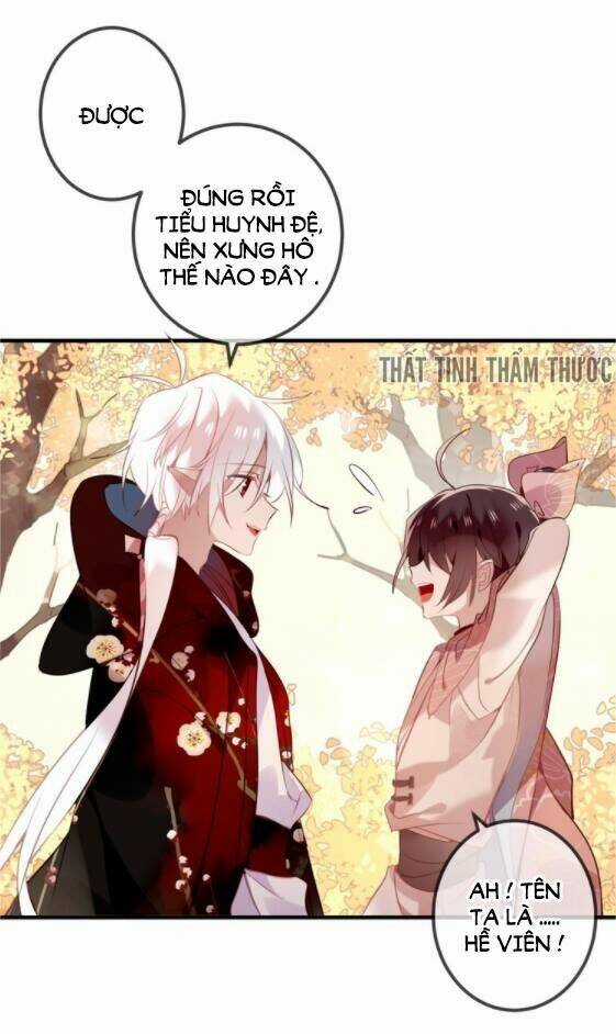 Ngô Hoàng Tại Thượng Chapter 31 trang 11