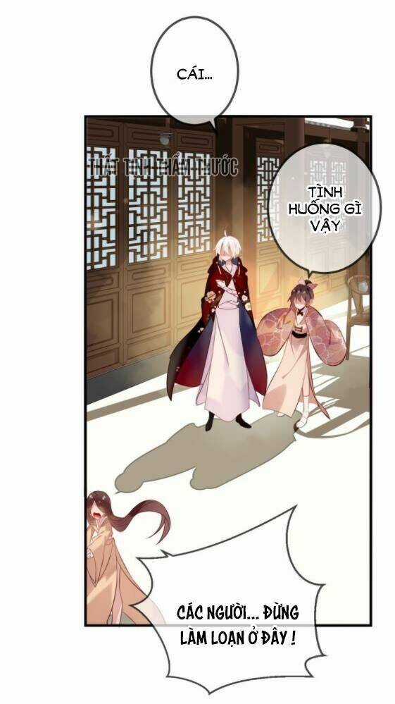 Ngô Hoàng Tại Thượng Chapter 31 trang 30