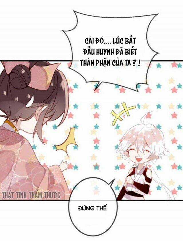 Ngô Hoàng Tại Thượng Chapter 38 trang 11