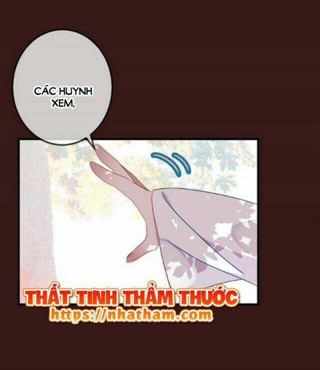 Ngô Hoàng Tại Thượng Chapter 40 trang 12