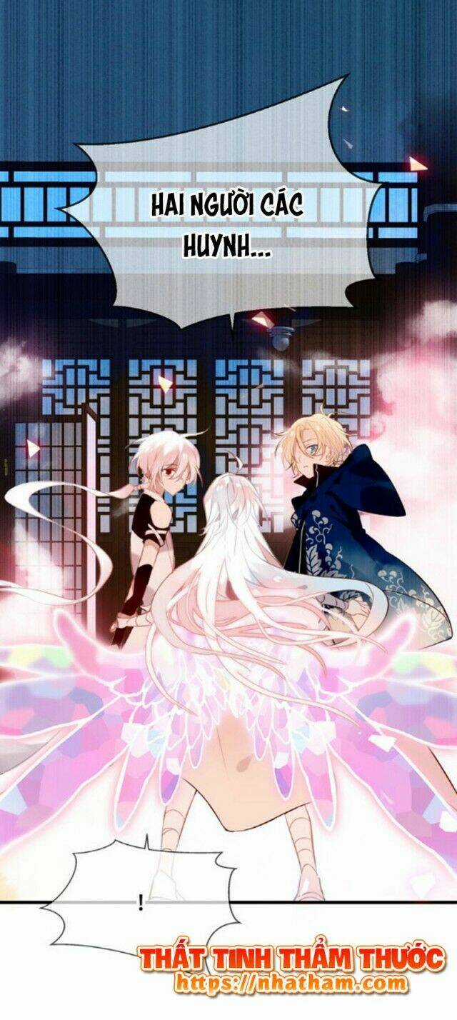 Ngô Hoàng Tại Thượng Chapter 40 trang 31