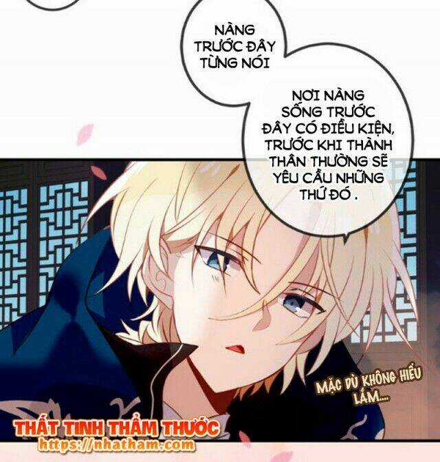 Ngô Hoàng Tại Thượng Chapter 41 trang 12