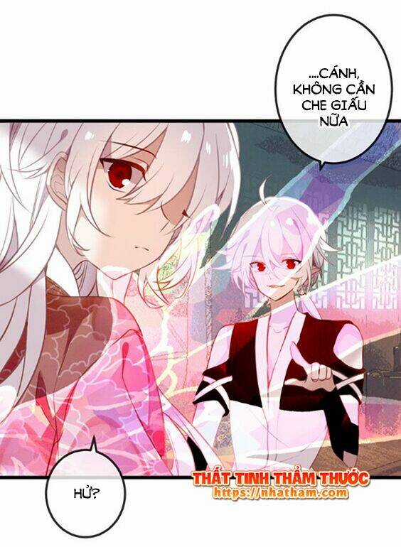 Ngô Hoàng Tại Thượng Chapter 42 trang 20