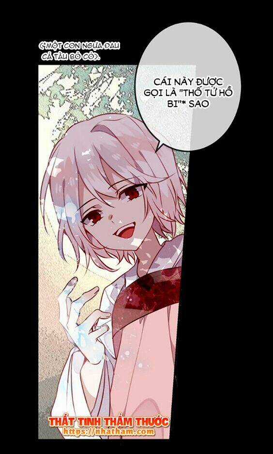 Ngô Hoàng Tại Thượng Chapter 42 trang 3