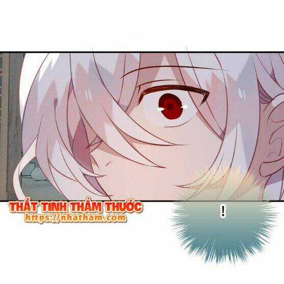 Ngô Hoàng Tại Thượng Chapter 43 trang 11