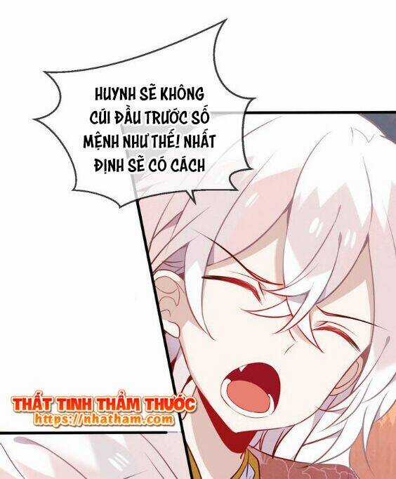 Ngô Hoàng Tại Thượng Chapter 43 trang 16