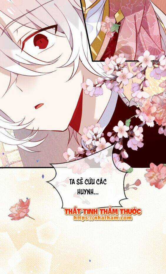 Ngô Hoàng Tại Thượng Chapter 43 trang 17