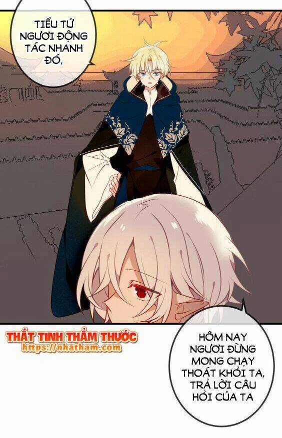 Ngô Hoàng Tại Thượng Chapter 43 trang 25