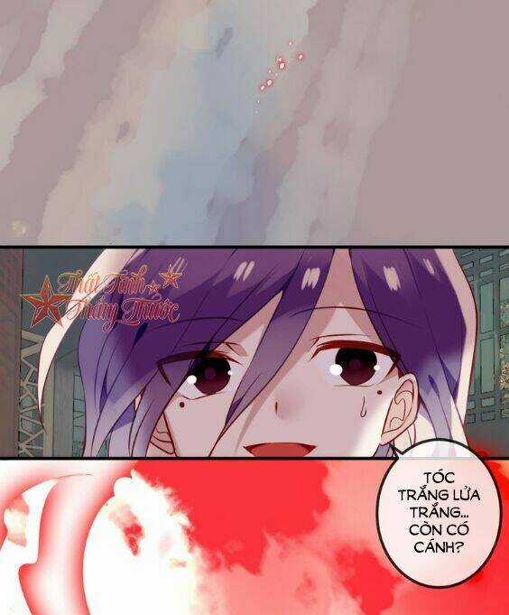 Ngô Hoàng Tại Thượng Chapter 49 trang 20