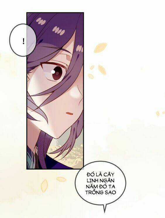 Ngô Hoàng Tại Thượng Chapter 56 trang 12