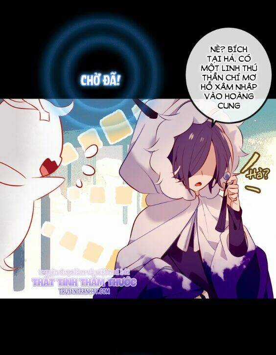 Ngô Hoàng Tại Thượng Chapter 61 trang 11