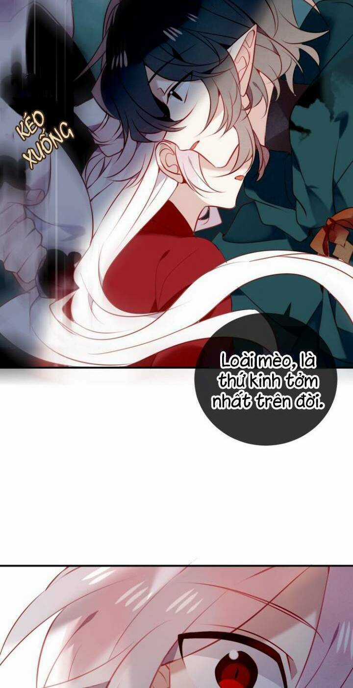 Ngô Hoàng Tại Thượng Chapter 68 trang 18