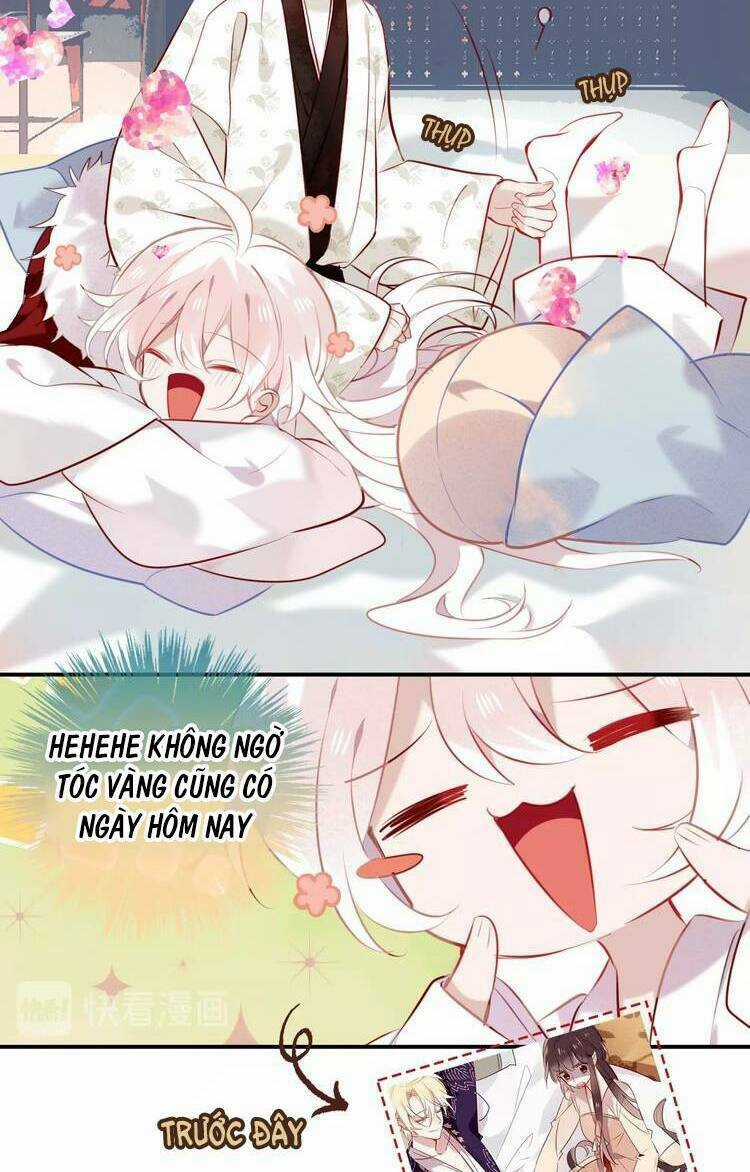 Ngô Hoàng Tại Thượng Chapter 77 trang 10