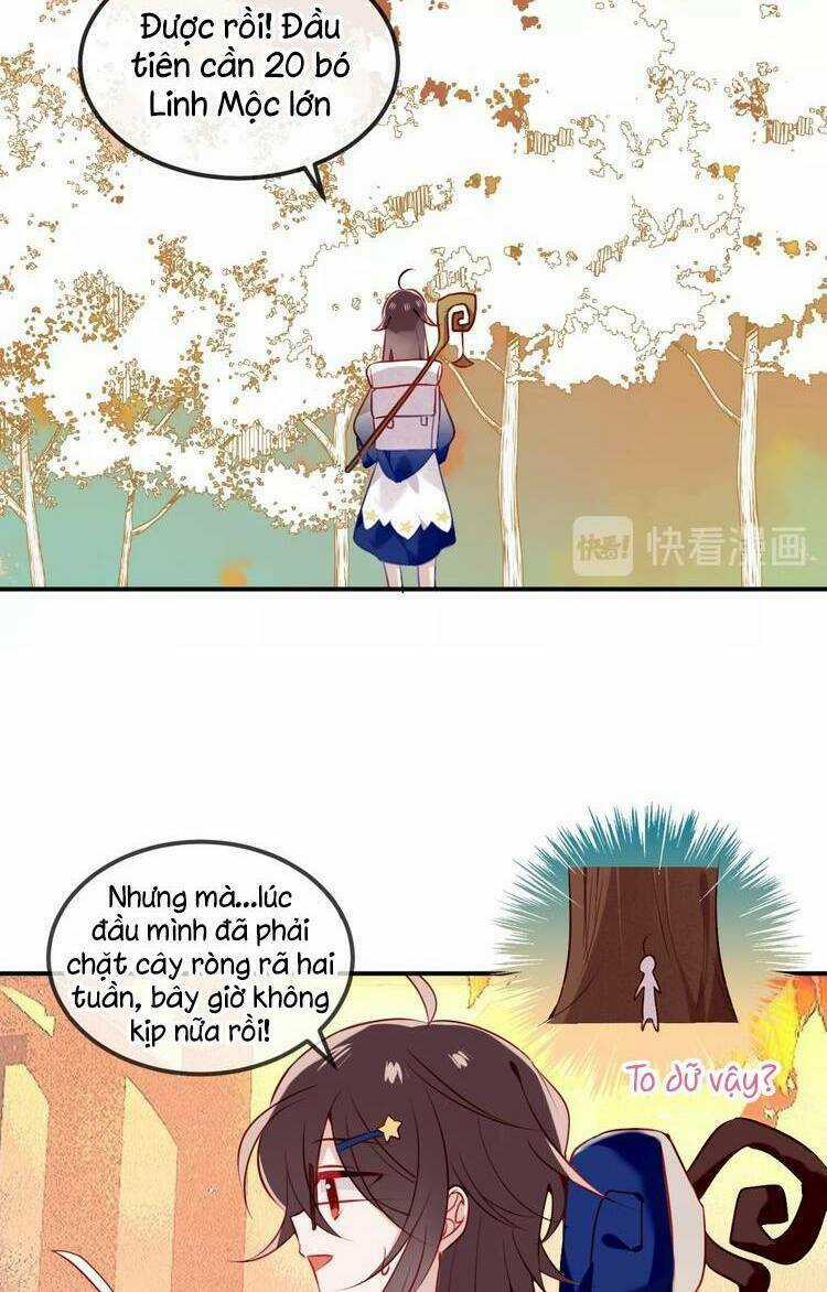 Ngô Hoàng Tại Thượng Chapter 78 trang 11