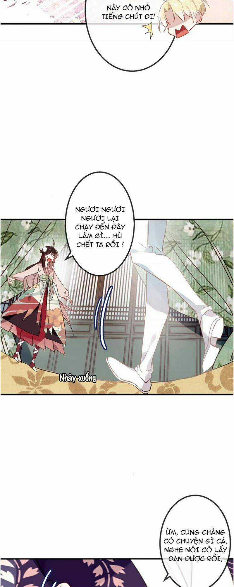Ngô Hoàng Tại Thượng Chapter 8 trang 26