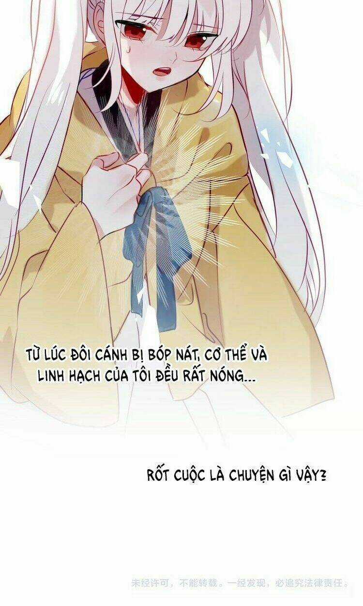 Ngô Hoàng Tại Thượng Chapter 86 trang 33