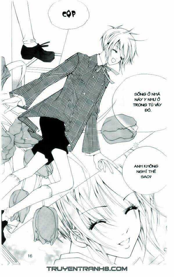 Ngọc Trong Đá-Ace Chapter 1 trang 16