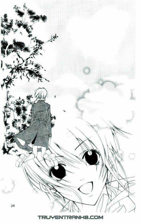 Ngọc Trong Đá-Ace Chapter 1 trang 24