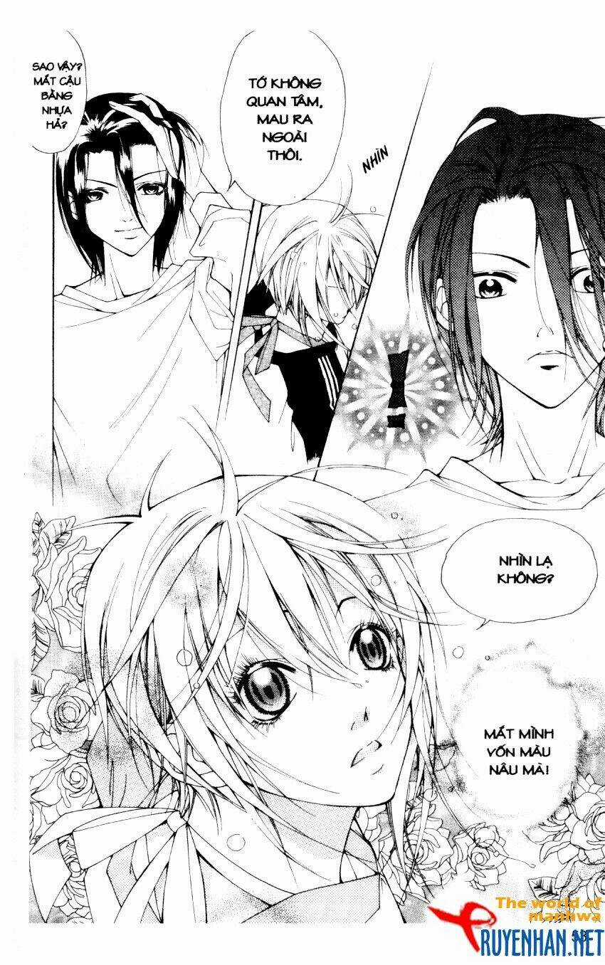 Ngọc Trong Đá-Ace Chapter 12 trang 14