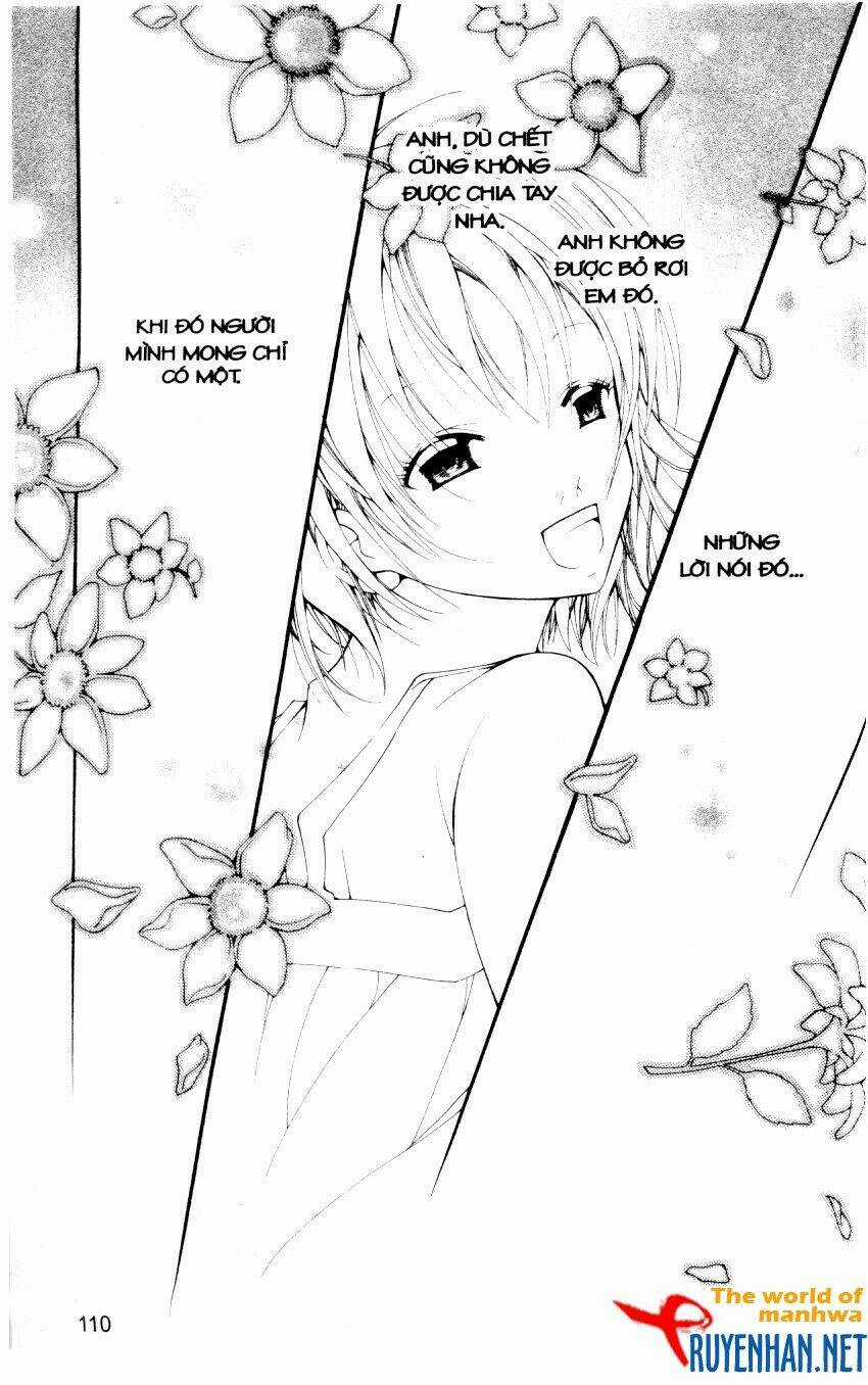 Ngọc Trong Đá-Ace Chapter 15 trang 11