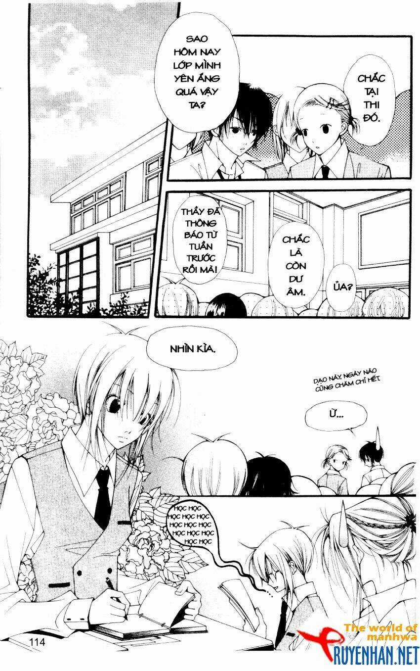 Ngọc Trong Đá-Ace Chapter 15 trang 15