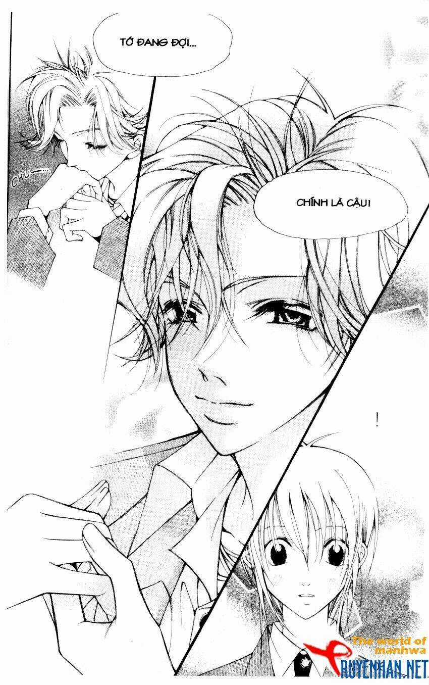 Ngọc Trong Đá-Ace Chapter 15 trang 4