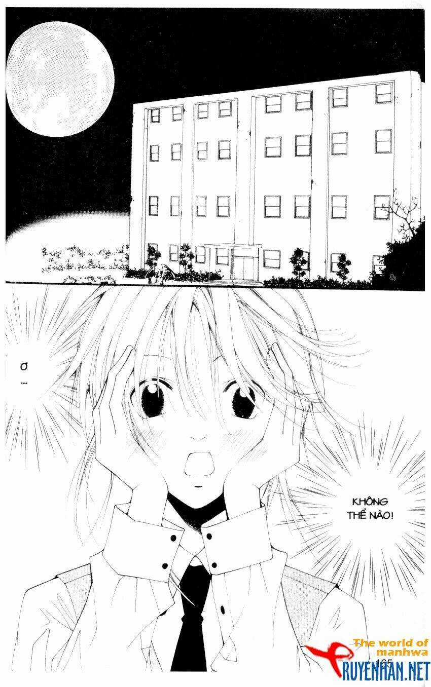 Ngọc Trong Đá-Ace Chapter 18 trang 6