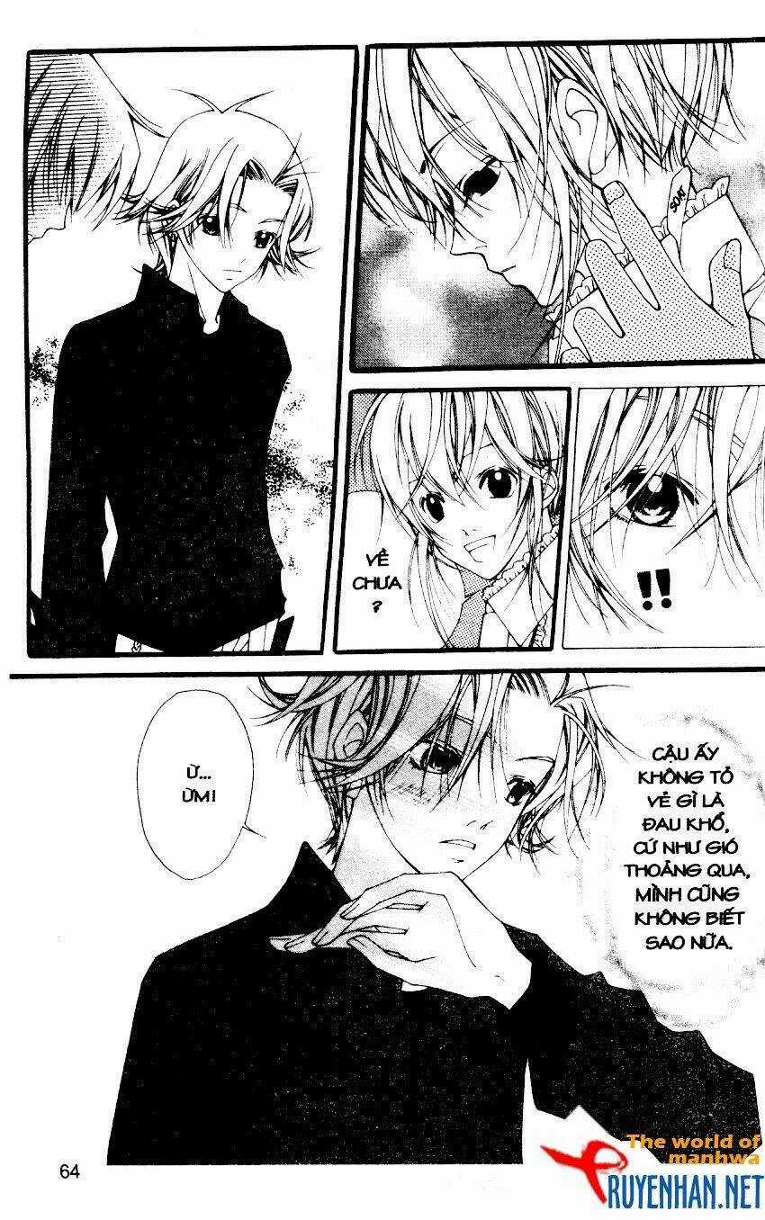 Ngọc Trong Đá-Ace Chapter 22 trang 5