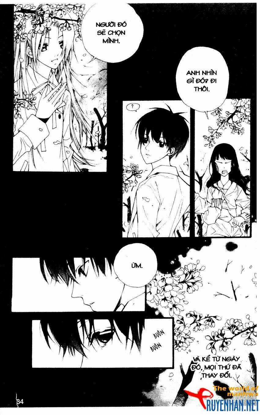 Ngọc Trong Đá-Ace Chapter 29 trang 15