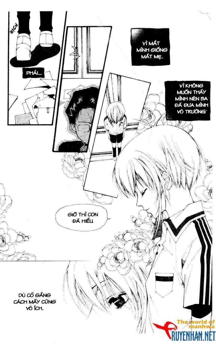 Ngọc Trong Đá-Ace Chapter 29 trang 8