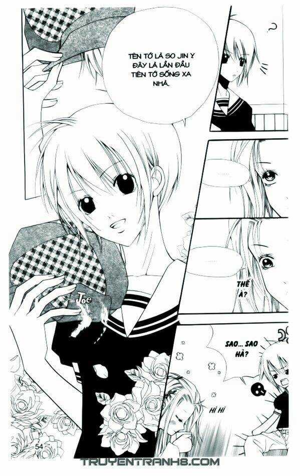 Ngọc Trong Đá-Ace Chapter 3 trang 5