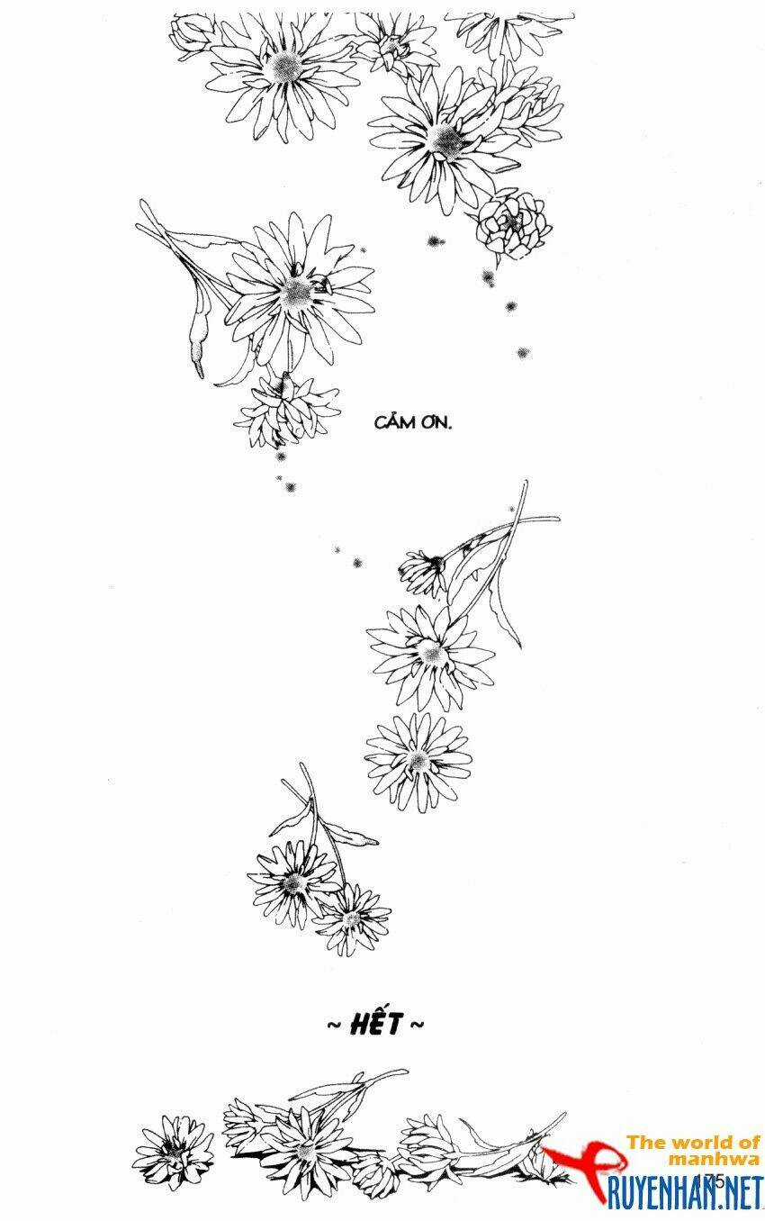Ngọc Trong Đá-Ace Chapter 36 trang 16
