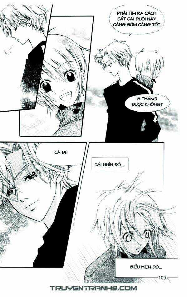 Ngọc Trong Đá-Ace Chapter 5 trang 9