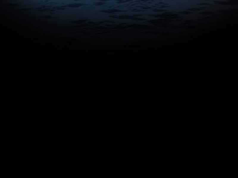 Ngôi Nhà Kết Nối Với Hầm Ngục Chapter 10 trang 74