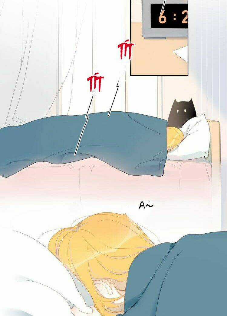 Ngôi Sao Cho Tôi Chapter 1 trang 17