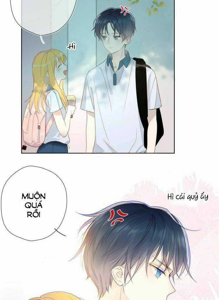 Ngôi Sao Cho Tôi Chapter 1 trang 24