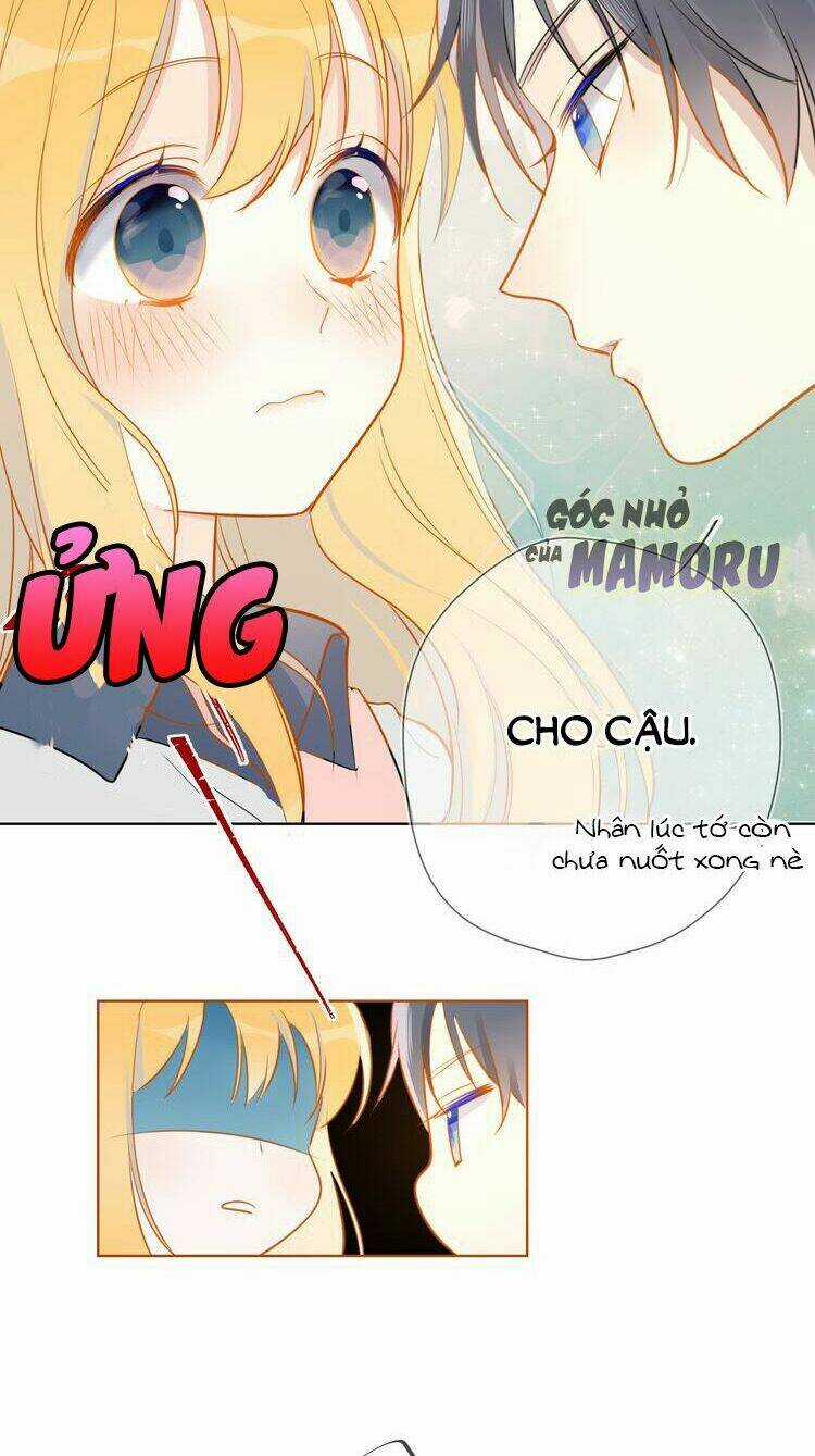Ngôi Sao Cho Tôi Chapter 1 trang 31