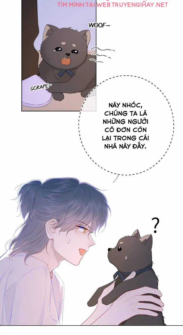 Ngôi Sao Cho Tôi Chapter 101 trang 5